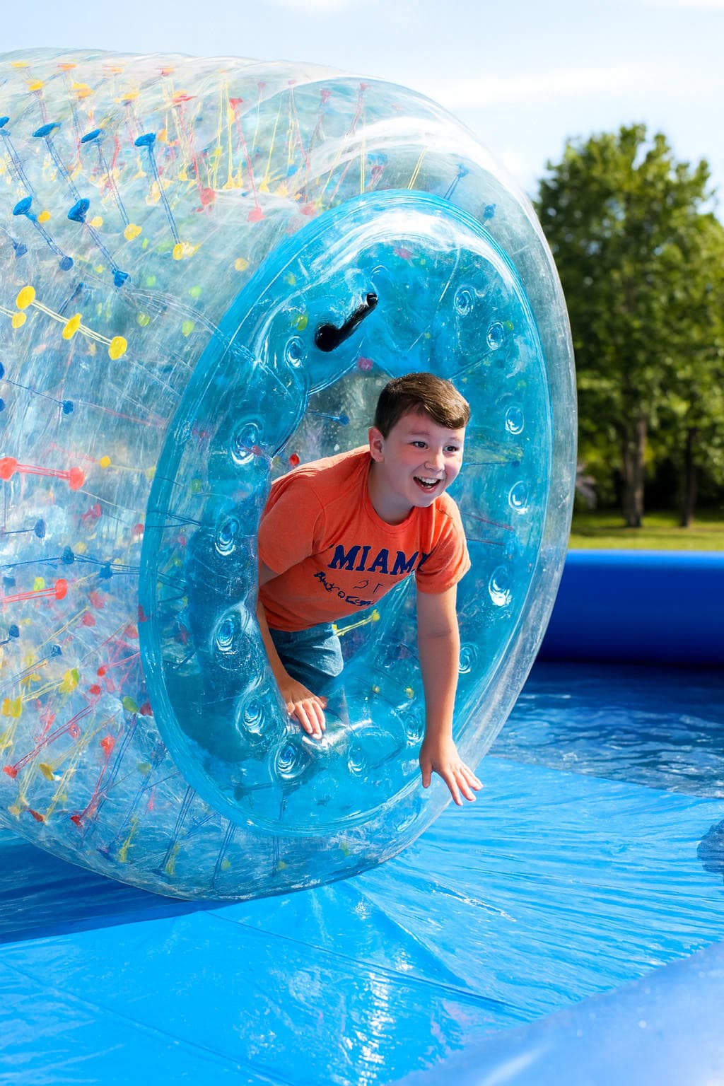 Hamster Wheels - Human Hamster Wheel for Homepage